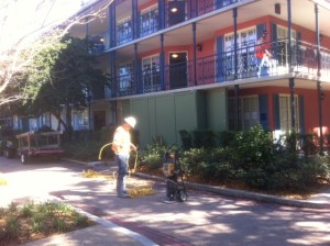 Queen Beds about 1/3 in at Port Orleans French Quarter