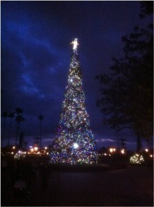 Holiday Crowds at Walt Disney World