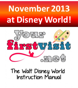 November 2013 at Walt Disney World