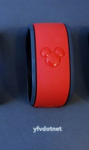 Liking the Name on This MagicBand