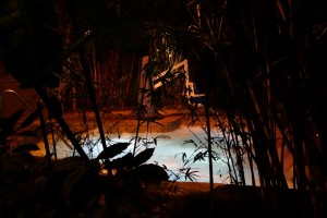 Hot Tub at Night Disney's Animal Kingdom Lodge from yourfirstvisit.net