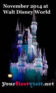 November 2014 at Walt Disney World