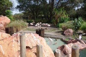 Pool Animal Viewing Area (1280x853)