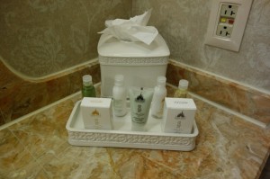 Things to Prevent Balding at Disney's Grand Floridian Resort & Spa from yourfirstvisit.net