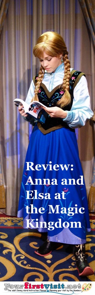 Review - Anna and Elsa at the Magic Kingdom