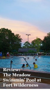 Review:  The Pools at Disney’s Fort Wilderness Resort