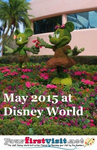 May 2015 at Walt Disney World