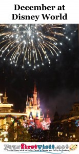 December 2015 at Walt Disney World