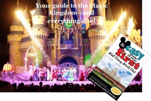 The easy Guide to Your First Walt Disney World Visit now available as a PDF