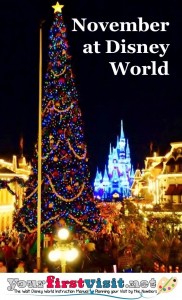 November 2015 at Walt Disney World