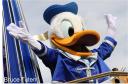 Donald Duck by Bruce Tuten