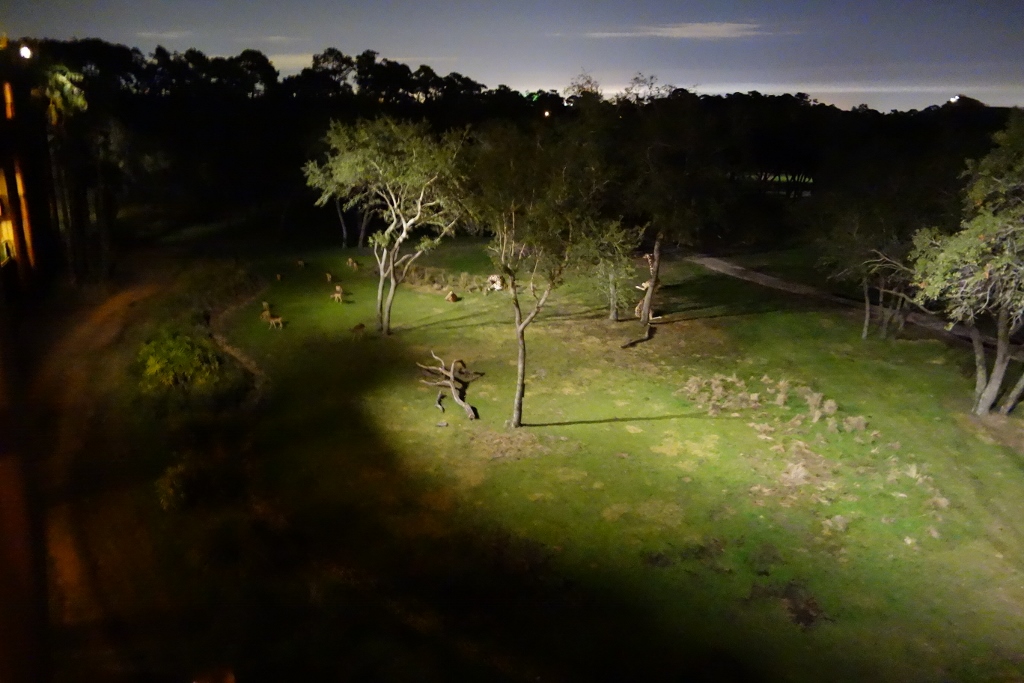 Review Disney�s Animal Kingdom LodgeJambo House