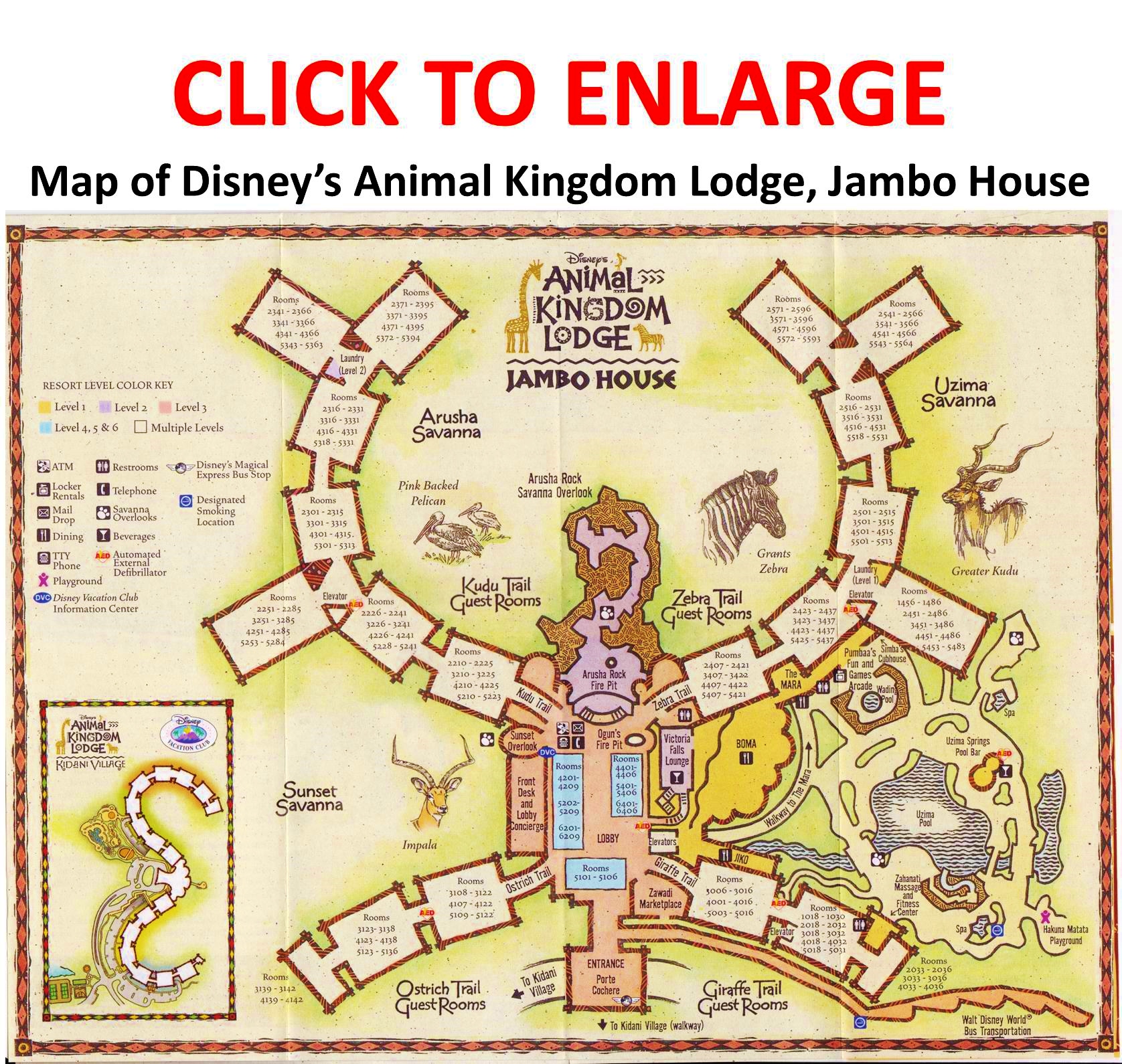 Review Disney s Animal Kingdom Villas Jambo House Yourfirstvisit review-disney-s-animal-kingdom-villas-jambo-house-yourfirstvisit