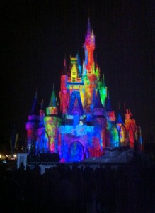 Celebrate the Magic at the Magic Kingdom