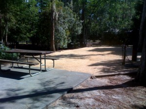 Disney's Fort Wilderness Resort Campsite