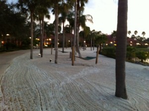 Cabanas Beach in the Evening at Disney's Coronado Springs Resort