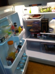 Fridge in Cabins at Disney's Fort Wilderness Resort