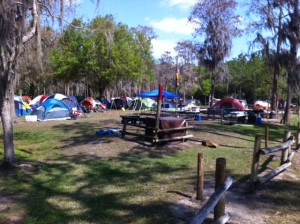 Group Campsite at at Disney's Fort Wilderness Resort