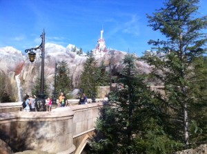 Bridge to Be Our Guest in the Enchanted Forest at New Fantasyland