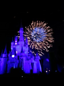 New Years Eve 2015 at Walt Disney World