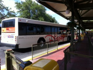 Magic Kingdom Bus Stop