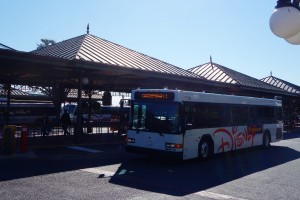 Contemporary Bus at Magic Kingdom Bus Stop from yourfirstvisit.net