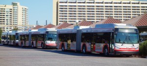 New Articulated Disney World Buses from yourfirstvisit.net