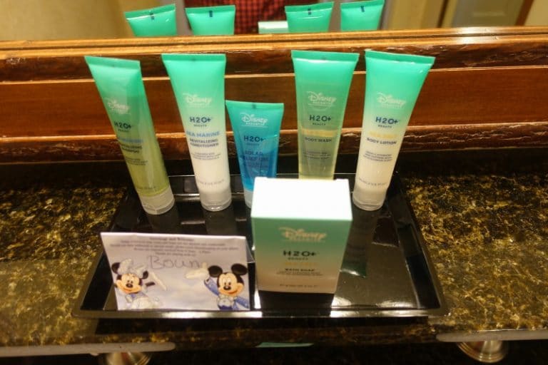 Photo Tour of a Standard Room at Disney's Wilderness Lodge