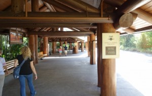 Bus Stop Disney's Animal Kingdom Lodge from yourfirstvisit.net