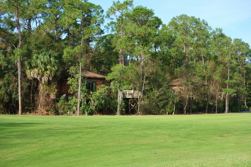The Treehouses from Lake Buena Vista Golf Course Disney's Saratoga Springs Resort & Spa from yourfirstvisit.net