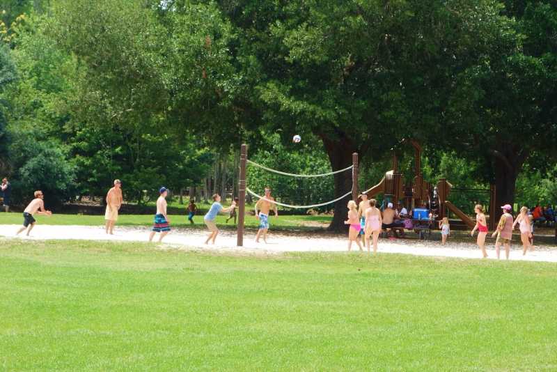 Volleyball Meadow Pool Disney's Fort Wilderness Resort from yourfirstvisit.net