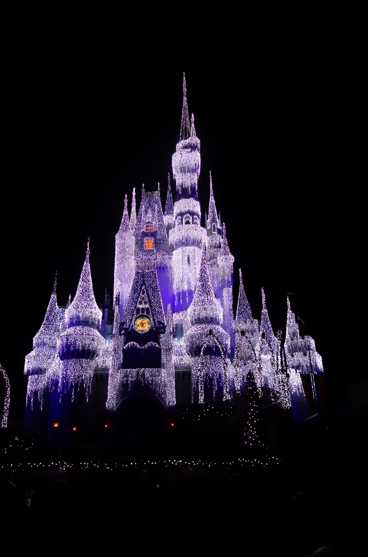 The Castle Transfigured Frozen Holiday Wish from yourfirstvisit.net
