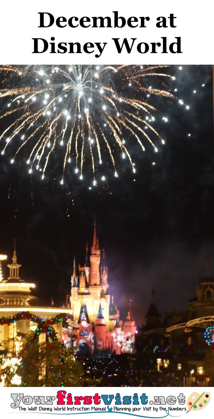 December 2015 at Walt Disney World from yourfirstvisit.net