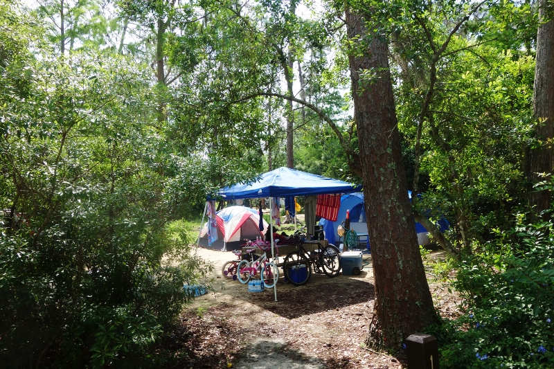 Campsite at Disney's Fort Wilderness Resort from yourfirstvisit.net