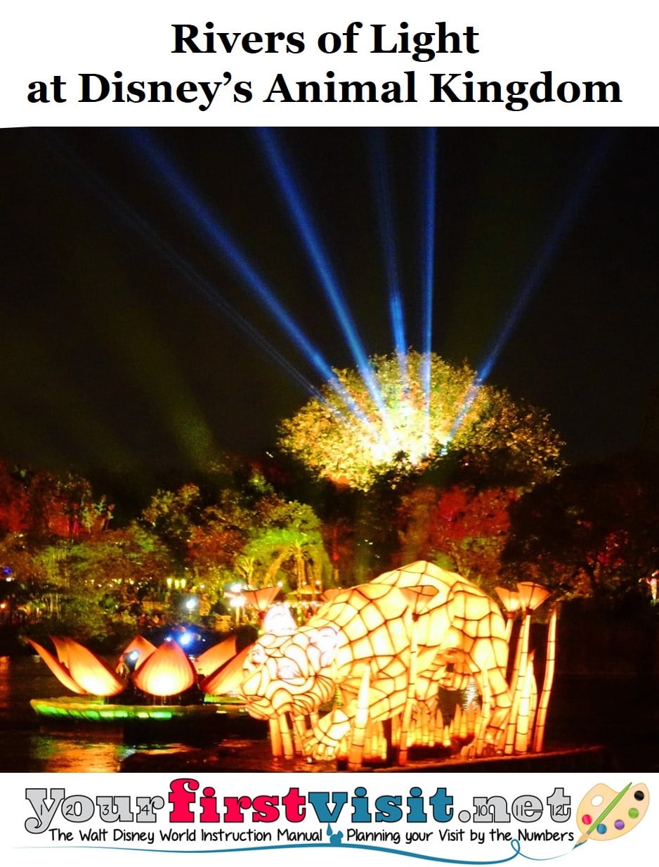 Review: Rivers of Light at Disney's Animal Kingdom 