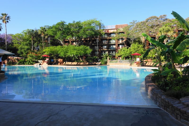 animal: Disney Animal Kingdom Lodge Pool Refurbishment