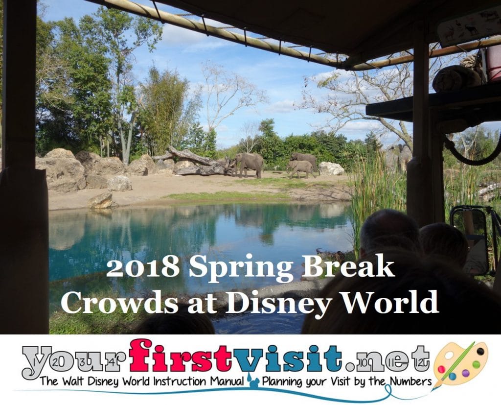 How to Deal With Crowds at Disney World During Spring Break