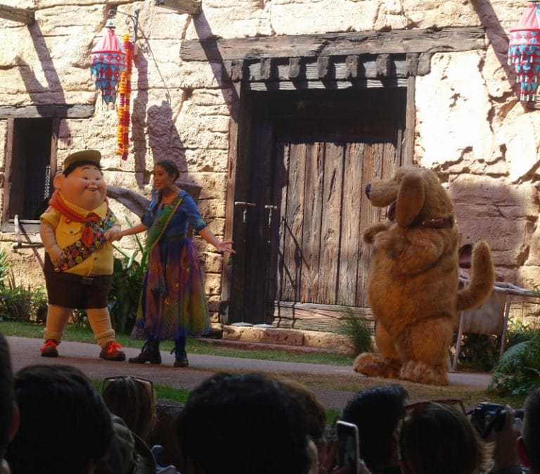 Review - UP: A Great Bird Adventure at Disney's Animal Kingdom