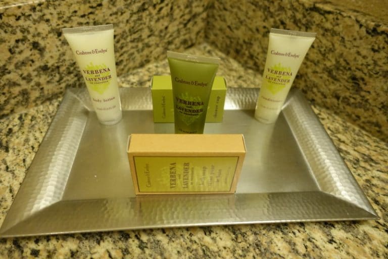 Photo Tour of A Standard Room at the Hilton Orlando Lake Buena Vista